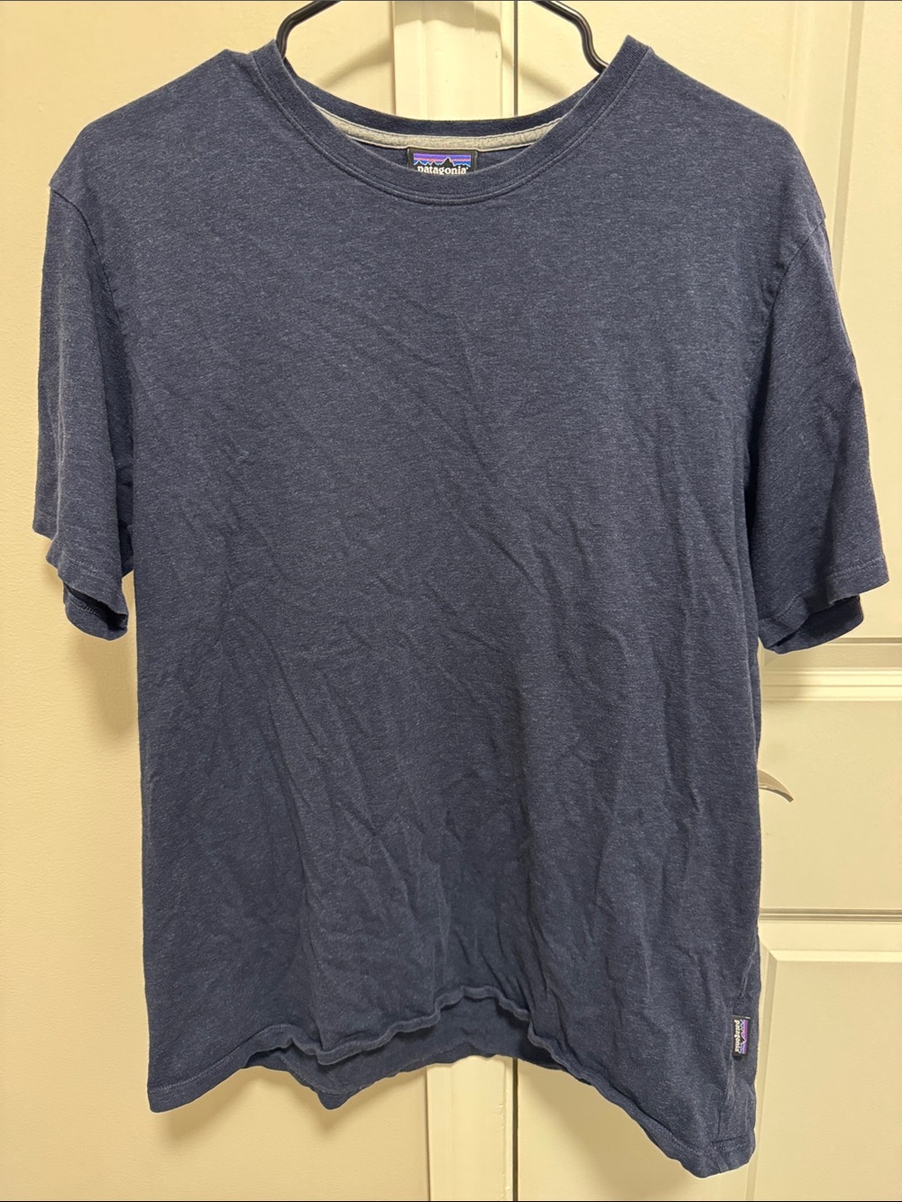 Patagonia Organic Cotton T-Shirt